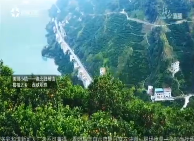 美丽小镇——湖北归州镇 柑桔之乡 西峡明珠