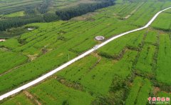 <b>河北内丘：中草药种植助增收</b>