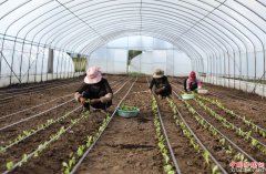 <b>四川理塘：高原“飞地”园区助力扶贫</b>