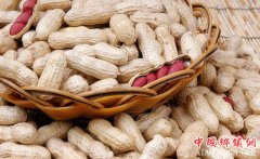 <b>花生价格最新行情 2018花生价格走势会涨吗</b>