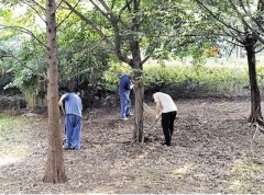 <b>大学生打暑期工 先学专业还是先吃苦？</b>