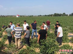 <b>陕西莲花寺镇：外出考察“金银花”产业  助力脱贫攻坚</b>