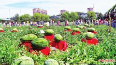 <b>第十七届中国长春国际农业·食品博览（交易）会17日开幕</b>