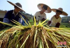 <b>中央部署脱贫攻坚作战图 2020年要实现这些民生目标</b>