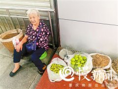 <b>重庆：68岁独臂婆婆摆地摊卖草药 “能养活自己我觉得开心”</b>