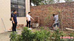 <b>陕西：杏林镇“庭院经济”开扶贫新花</b>