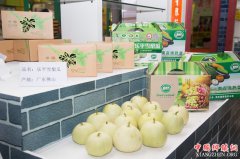 <b>乐平雪梨瓜：个个都是“蜜糖埕”</b>