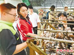 <b>大学教授为国家精准扶贫提供第一手资料</b>