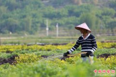 <b>确保到2020年贫困地区和贫困群众同全国一道进入全面小康社会</b>