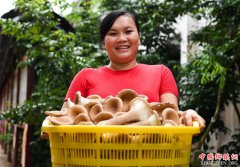 <b>海南琼中：“股份蘑菇”助脱贫</b>