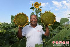 <b>河套瓜子远销海外</b>