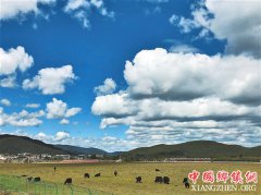 <b>云南香格里拉：草原之上白云飘</b>
