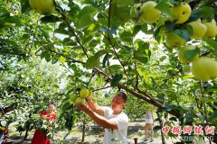 <b>河北丰润：“农旅融合”助推乡村振兴</b>