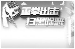 <b>公安机关打掉涉黑组织514个 多地出台举报奖励措施</b>