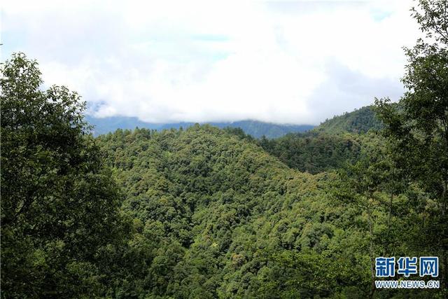 航拍怒江泸水 掠影生态脱贫