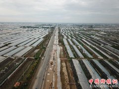 山东寿光：受灾蔬菜大棚排涝提速 村民忙恢复生产