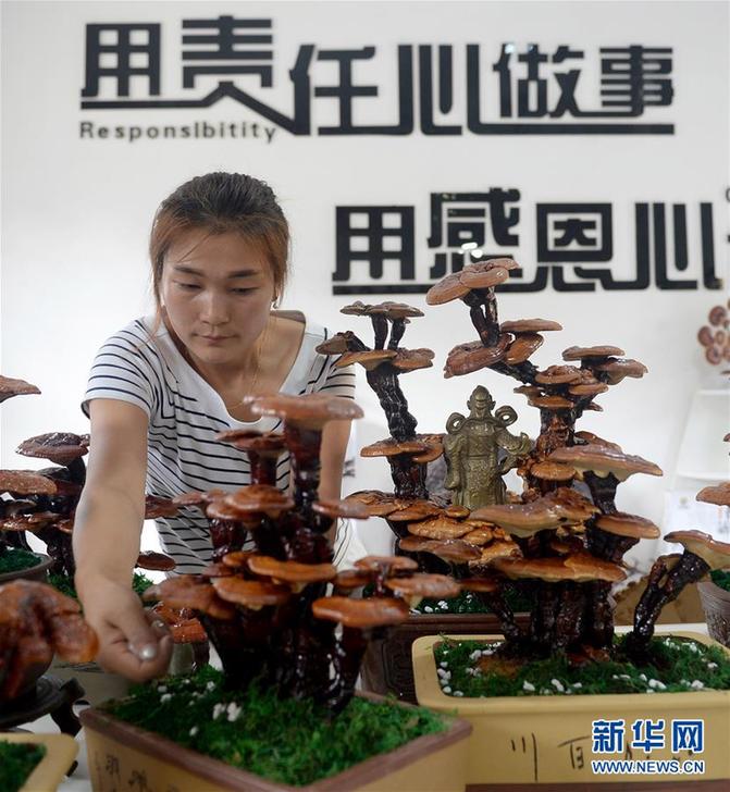 （图片故事）（6）创业者罗婵：回到大山 与乡邻共同脱贫致富