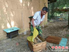 <b>贫困户卖“扶贫蜜”年售600斤</b>