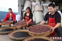 <b>“汉源花椒”成功申报中国驰名商标</b>