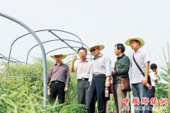 <b>重庆5支“黄大年式教师团队”引人注目</b>