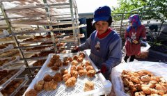 <b>黑龙江：猴头菇采摘烘干忙</b>