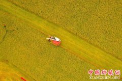 <b>九部门：做好秋粮收购 避免发生大范围农民卖粮难</b>