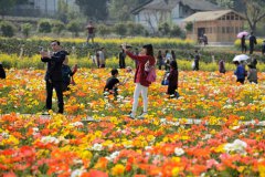 乡村旅游等级不是铁饭碗