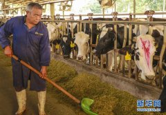 河北安平：特色养殖实现“造血式”脱贫