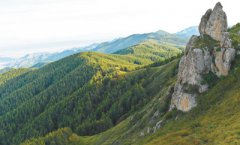 探访内蒙古最大人工林场：五十八载荒山变成林海