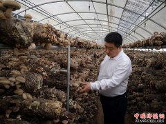 <b>陕西莲花寺镇：党委书记抓产业  脱贫攻坚见实效</b>