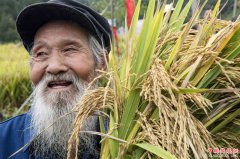 <b>古梯田上的丰收打谷节</b>