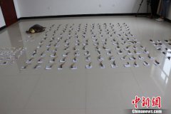 内蒙古破获一起跨国特大非法交易野生动物制品案