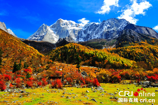 图片默认标题_fororder_5、丹巴迷人秋色（丹巴县委宣传部-供图）