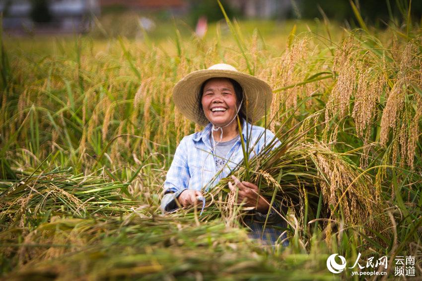 广南县八宝镇一名种植户露出喜悦的笑容 人民网 薛丹 摄