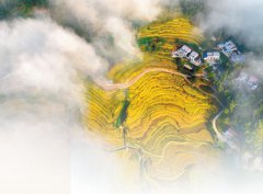 <b>层林尽染秋色美 共庆丰年 分享喜悦</b>