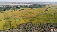 <b>新疆温宿秋收忙</b>