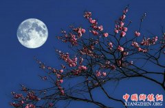 <b>当中秋的味道越来越浓</b>