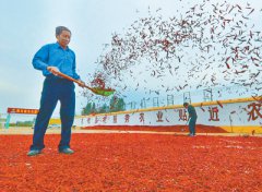 <b>内蒙古莫力达瓦达斡尔族自治旗喜迎秋收</b>