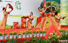 载歌载舞庆丰收