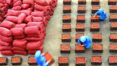 <b>山东沂源：多彩收获靓金秋</b>