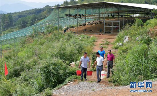 （经济）（3）江西宜春：“孔雀经济”助力产业扶贫