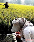 <b>山东郯城：“土医生”为田地“把脉”问诊</b>