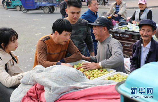 #（经济）（3）山东沾化：金秋十月 冬枣飘香