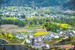 <b>四川南江：脱贫振兴的“绿色突围”</b>