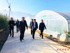 <b>陕西渭南市华州区委书记霍文军深入柳枝镇检查指导工作</b>