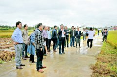<b>贵州稻水象甲区域防控技术研发应用成效显著</b>