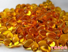 什么是海豹油 它都有什么样的作用？