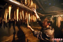 <b>贵州赤水：5万余亩大竹笋迎来收获季</b>