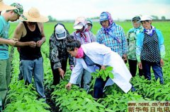 <b>“金豆娘娘”：伴豆一生，为中国大豆“争气”</b>