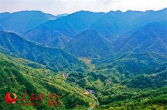 万州：贫困村里新气象 驻村书记带咱种“致富果”